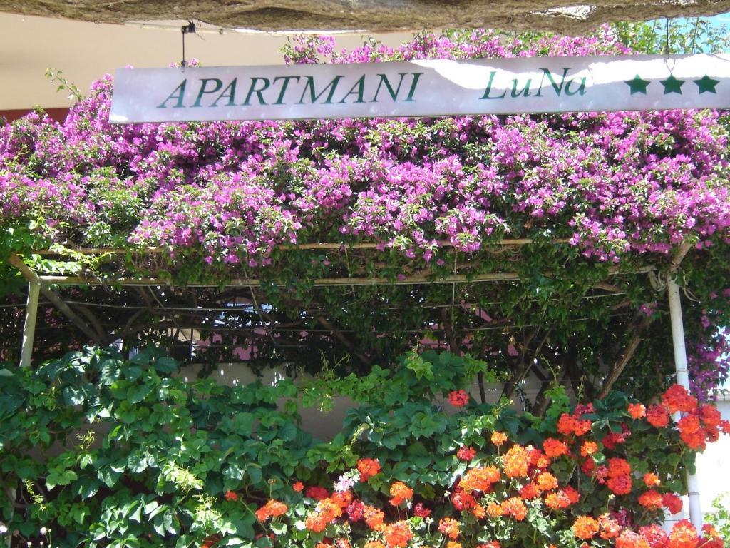 Apartmani Luna هفار المظهر الخارجي الصورة